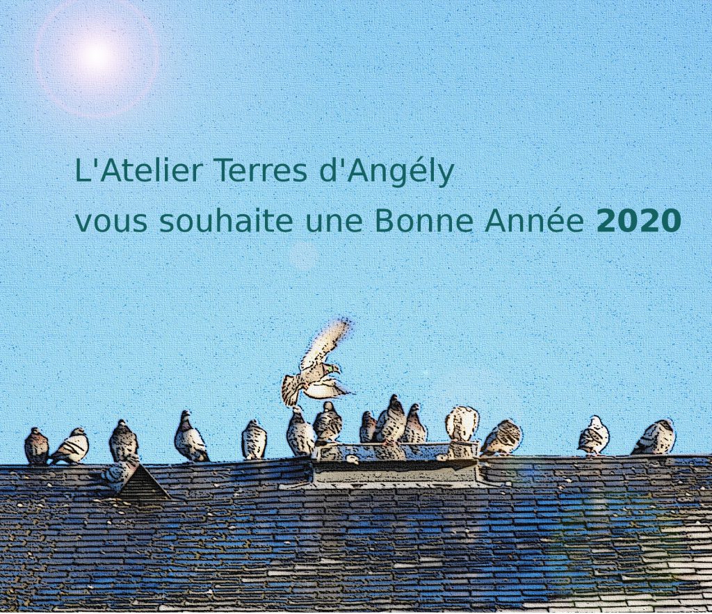 Bonne Année 2020